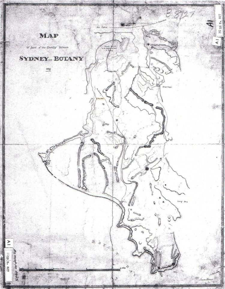 [James Larmer's 1829 Map (section)]