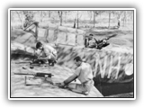 Probably Merauke, Dutch New Guinea or Strathpine, Qld. RAAF armourers working on the .303 machine guns of a Vultee Vengeance dive-bomber aircraft of No. 12 Squadron RAAF.