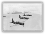 Vultee Vengance dive bombers of No 12 Squadron, RAAF, based at Merauke, Dutch New Guinea, 23 December 1943. The three aircraft are in echelon left formation in readiness for a dive.