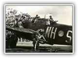 Probably Merauke, Dutch New Guinea or Strathpine, Qld. RAAF personnel working on a Vultee Vengeance dive-bomber aircraft, coded NH-S, of No. 12 Squadron RAAF.