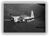 A Vultee Vengeance RAAF dive-bomber on patrol.