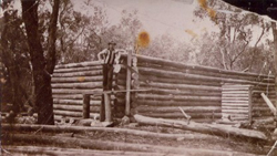 Moe Scouts log cabin project 1938