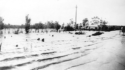 Moore Street in flood 1934