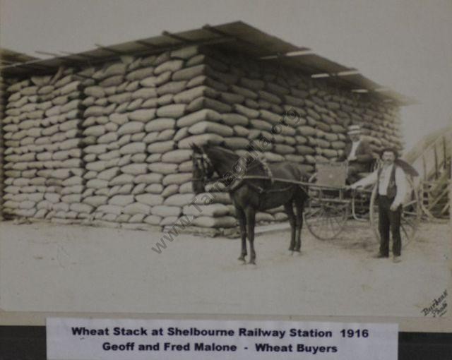 Wheat Stack, Shelbourne Railway Station, 1916.