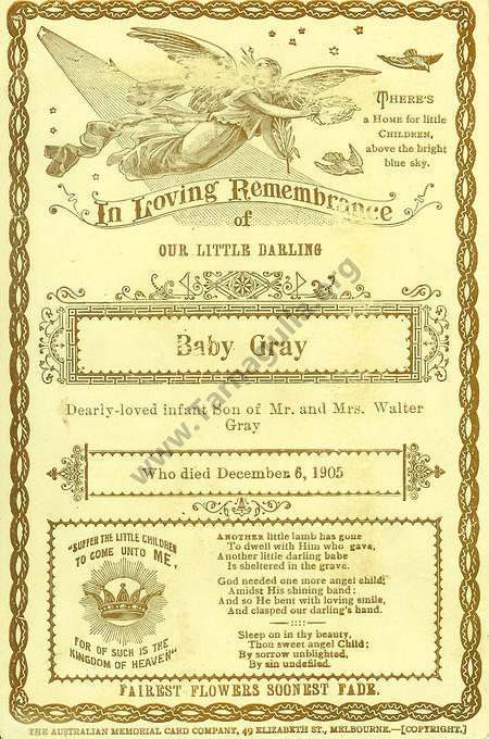 Horace Grey 1905