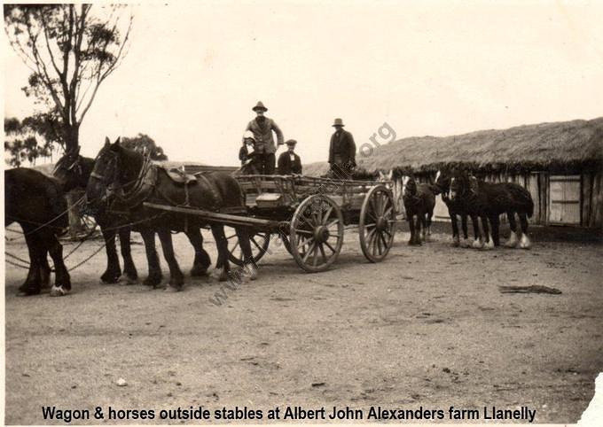 Wagon & horses outside stables at Albert John Alexanders farm Llanelly