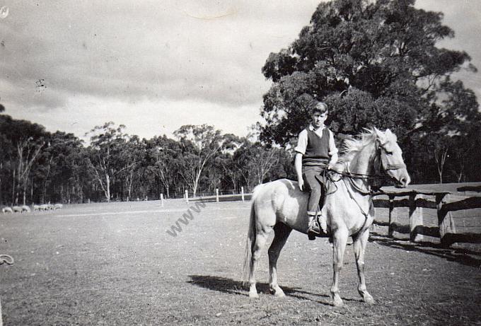 Bobby Emery aged 16 with Fred Williams horse Madge, at Waanyarra