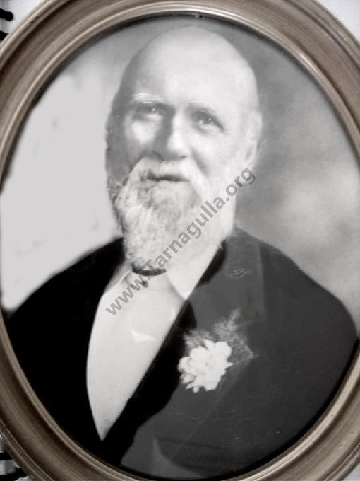 George Wilson 1842-1908