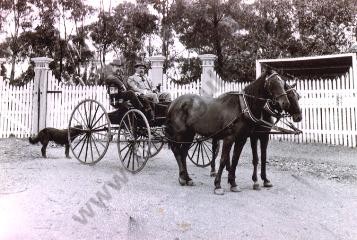 Dr. Donovan & driver not long before his death. 1903?