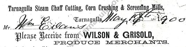 Wilson and Grisold 1900