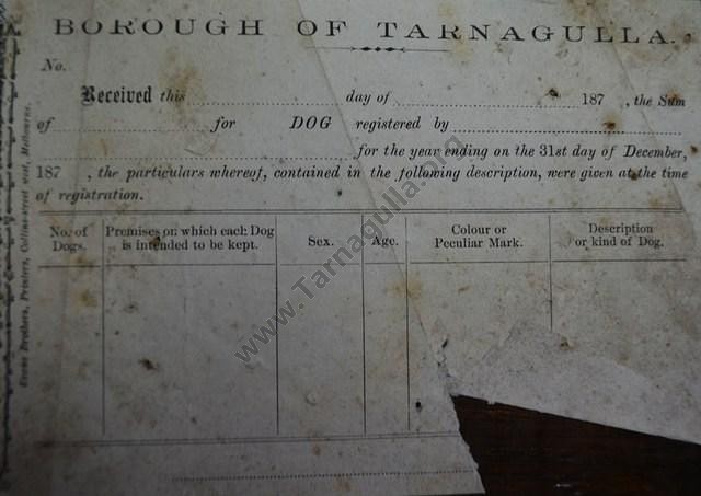 Borough of Tarnagulla Dog Registration, c1870.