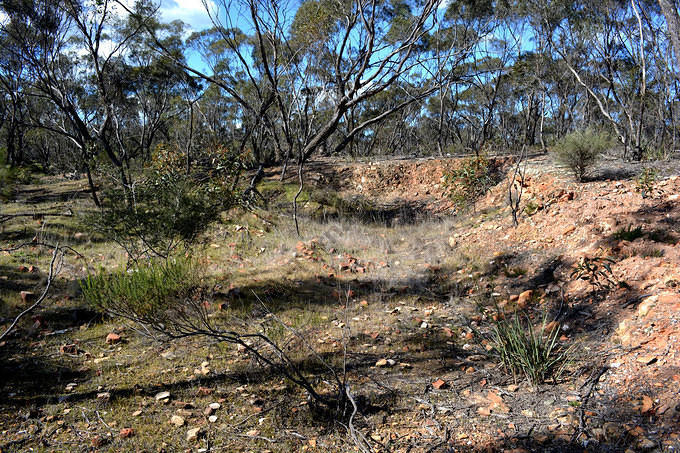 Remnants of Engine Beds, Specimen Hill and Phoenix Extended Company