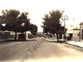 Back To Tarnagulla, 1931
