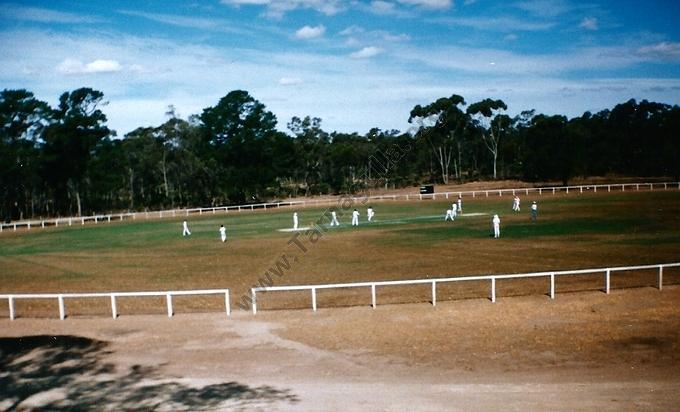 Cricket at the Tarnagulla Recreation Reserve