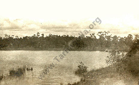 Tarnagulla Reservoir c 1920