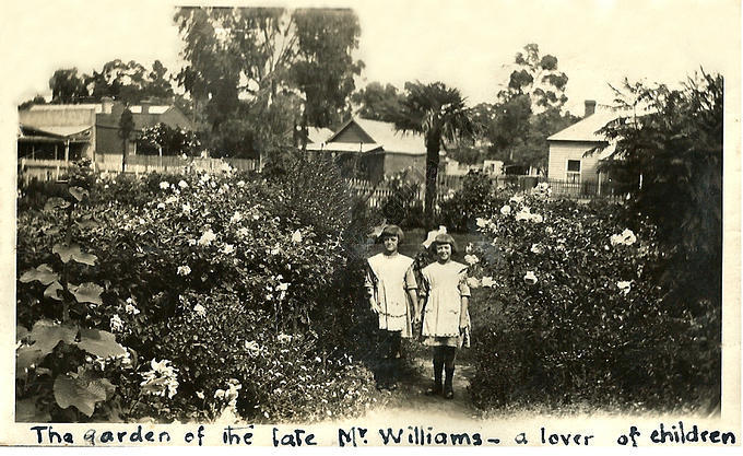 Williams's Garden, c1920