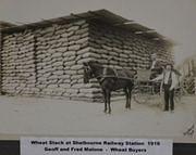 Wheat Stack, Shelbourne Railway Station, 1916.