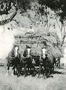 Laanecoorie Agriculture - Hay Carting