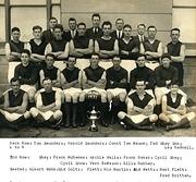 Nice Photo of the 1931 Football Team