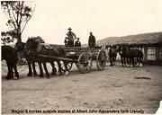 Wagon & horses outside stables at Albert John Alexanders farm Llanelly