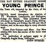 Mr Catto's Stallion October 1863
