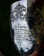 Cricket Trophy 2