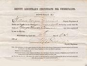 Registrar of Births and Deaths Certificate for Undertaker 13 October 1884