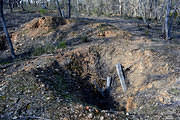 Remains of Grigg's Workings, Specimen Hill