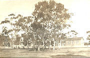 Court House Tarnagulla, c 1920