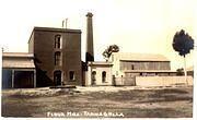 Tarnagulla Patent Roller Flour Mill Company