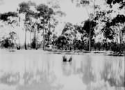 Bathing Dam at the Recreation Reserve, c1912